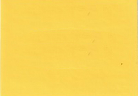 2004 Ford Zinc Yellow